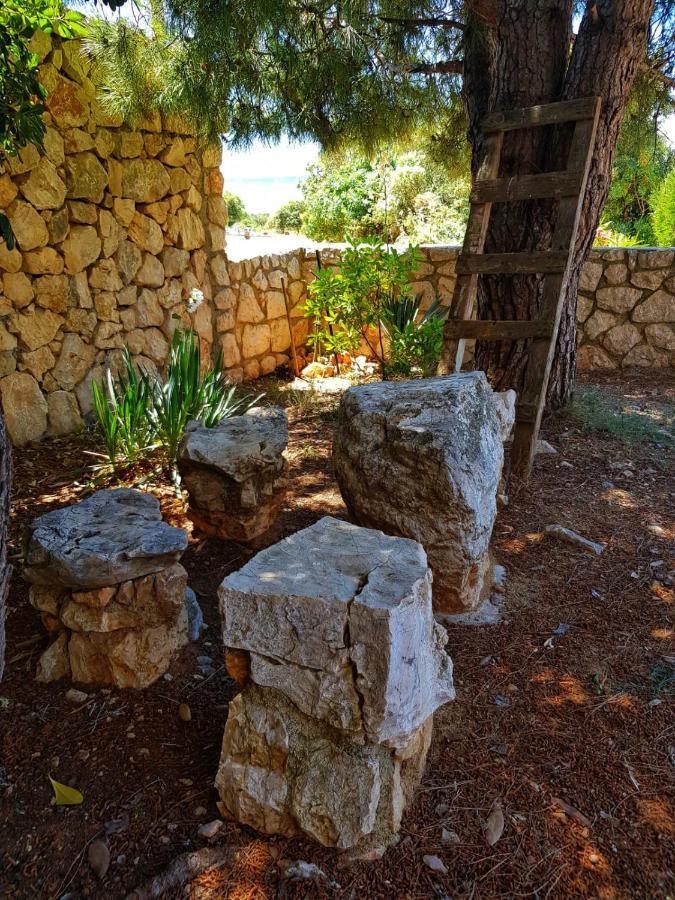 Apartmani Vrancic Mandre Εξωτερικό φωτογραφία